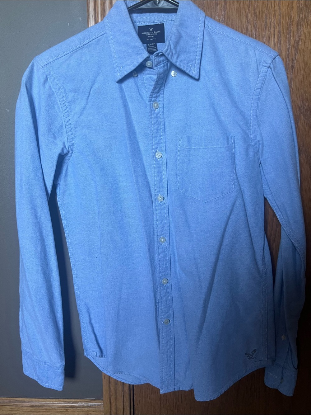 American Eagle Outfitters Men's Sky Blue Button-Down Shirt